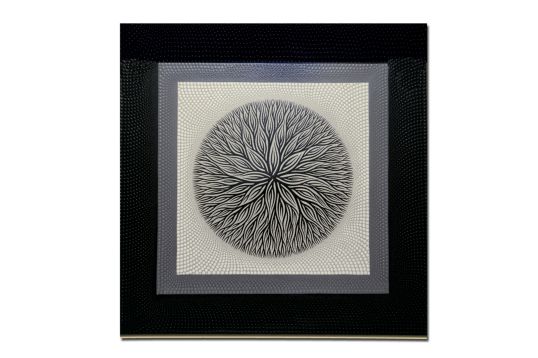 QUADRO