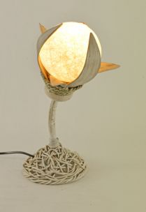 LAMPADA