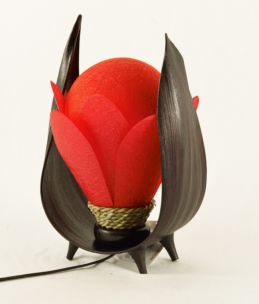 LAMPADA