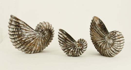 CONCHIGLIE SET 3 PZ