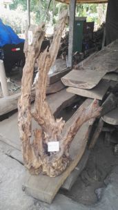 LAMPADA SCULTURA IN LEGNO INDUSTRIAL RAMI RIVOLTI VERSO L'ALTO CM H 150 C